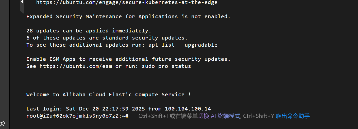 image-20251220221838253