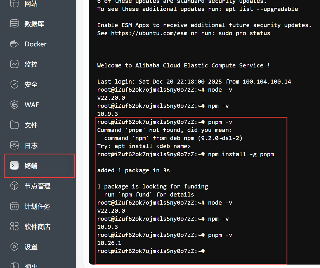 image-20251220224802110